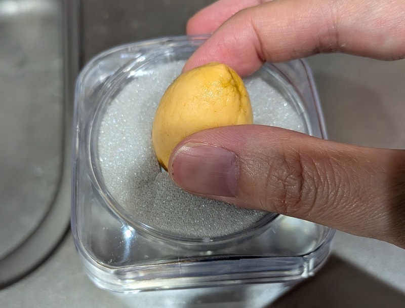 ダイソー　球根栽培ベース
