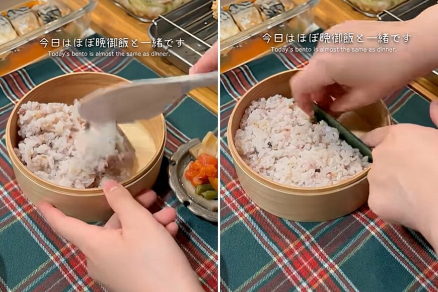 出所：@KINOKOTV-q4e