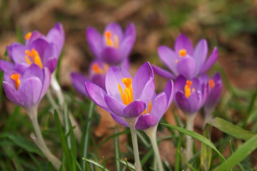 CR_CR_Photography/shutterstock.com
