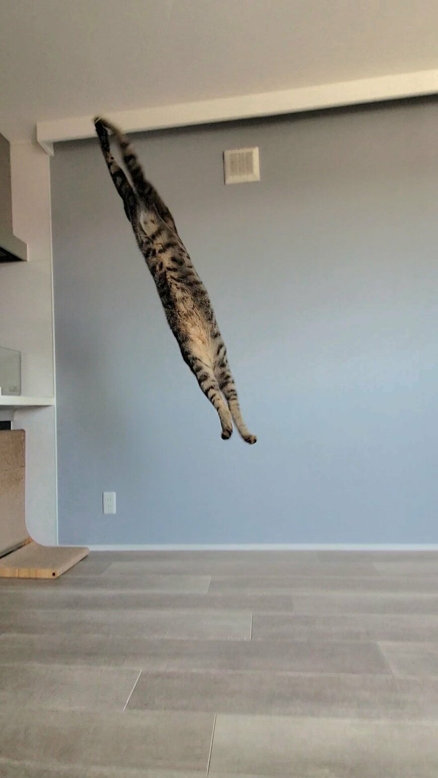 出所：@chipie0826