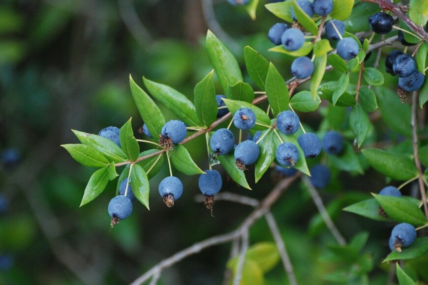 zinzii/istockphoto.com