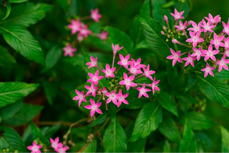 wahid hasyim asyari/istockphoto.com