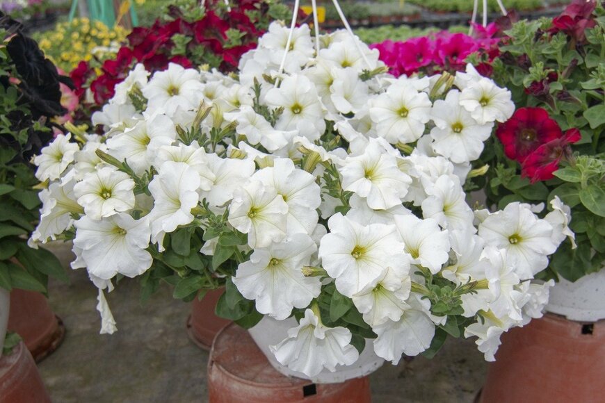 ArtesiaWells/istockphoto.com