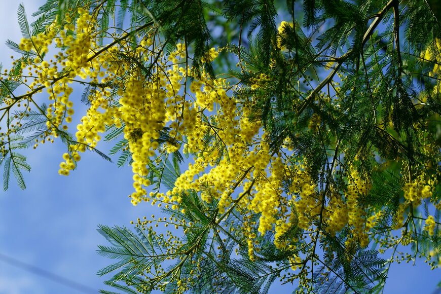 High Mountain/Shutterstock.com