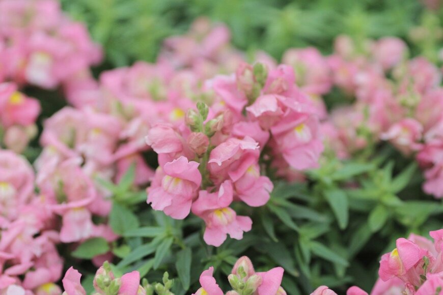 seaonweb/istockphoto.com