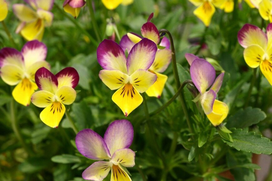 syan/istockphoto.com