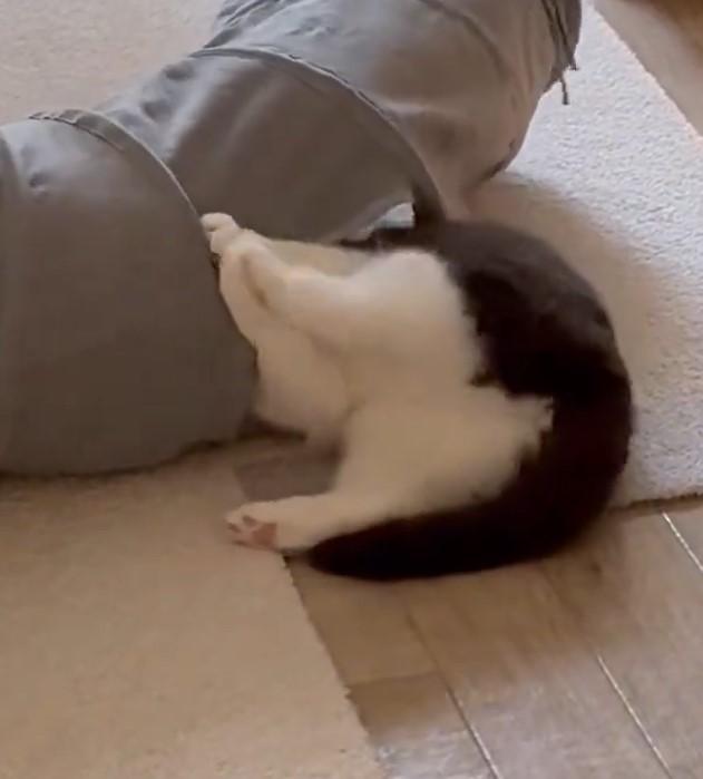 出所：@omochiomoching