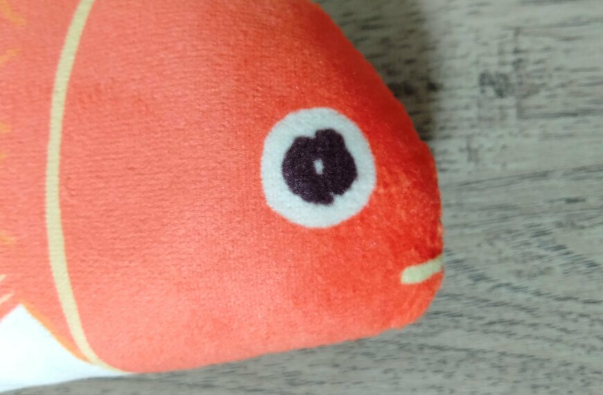 筆者撮影（セリア、またたび入りお魚クッション）