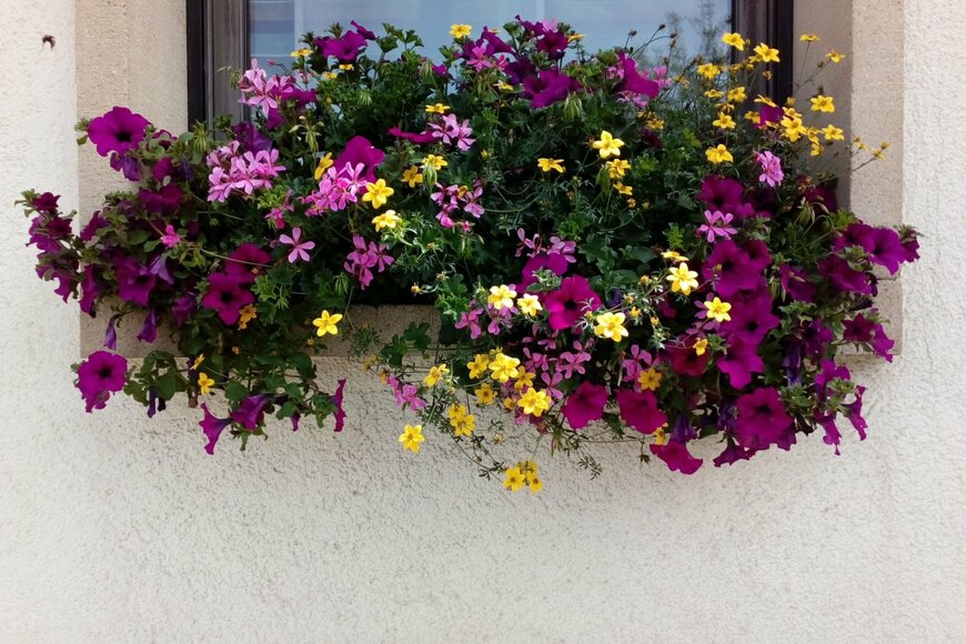 Arachaporn/shutterstock.com