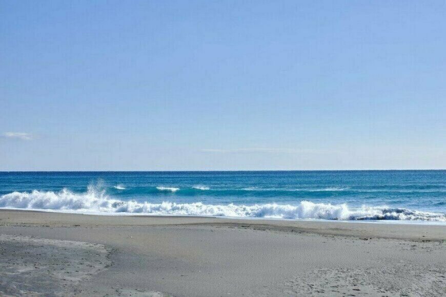 ペットボトルに生け捕りされた「海の危険生物」に思わず二度見　「どうやって捕まえるんだろ」