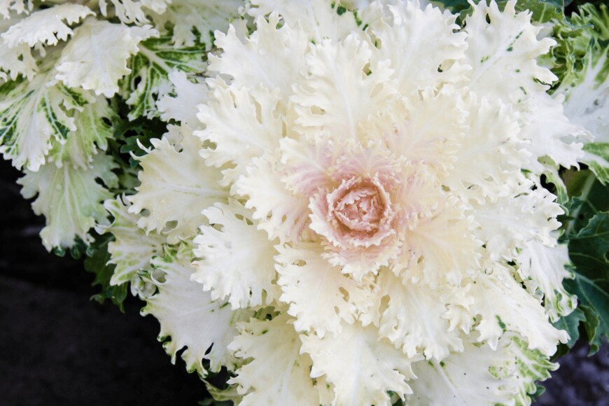 jatrax/istockphoto.com