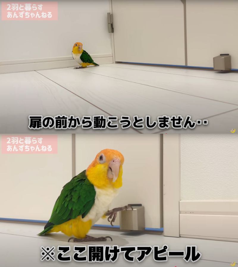 出所：@anz_omomiri