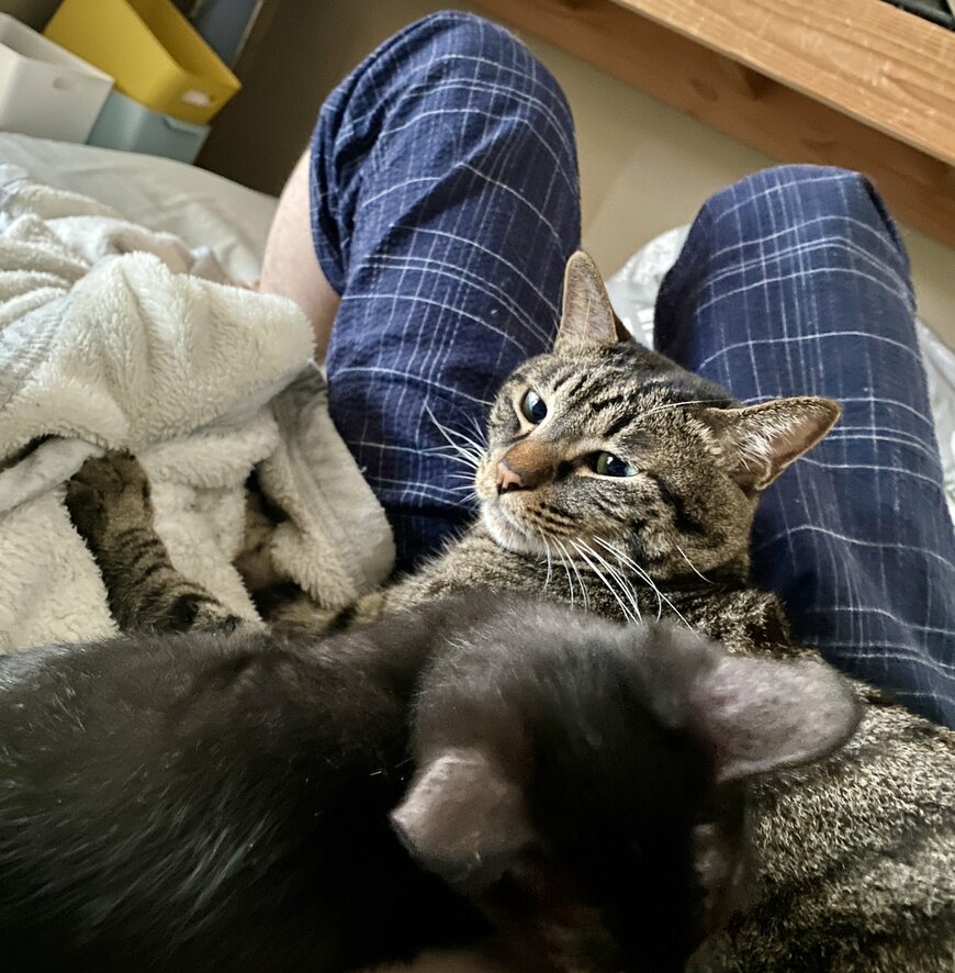 出所：@00shitemita