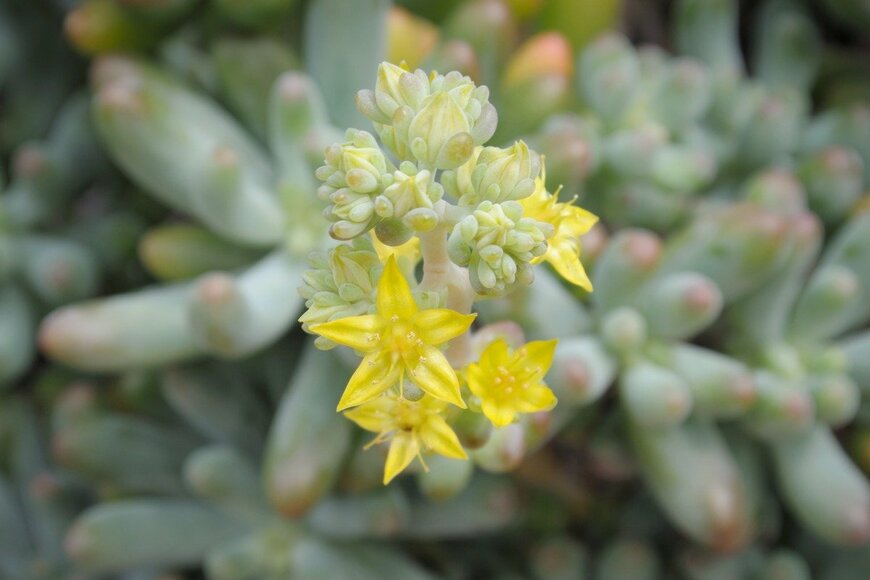 P.Ochasanond/istockphoto.com