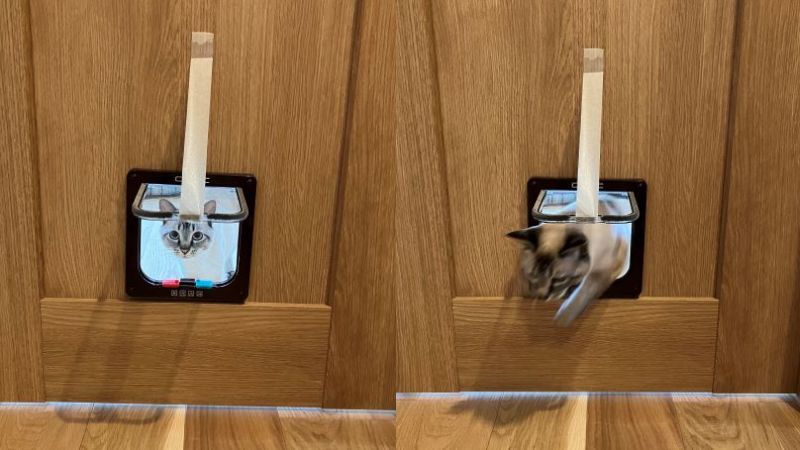 出所：@_roro_cat_