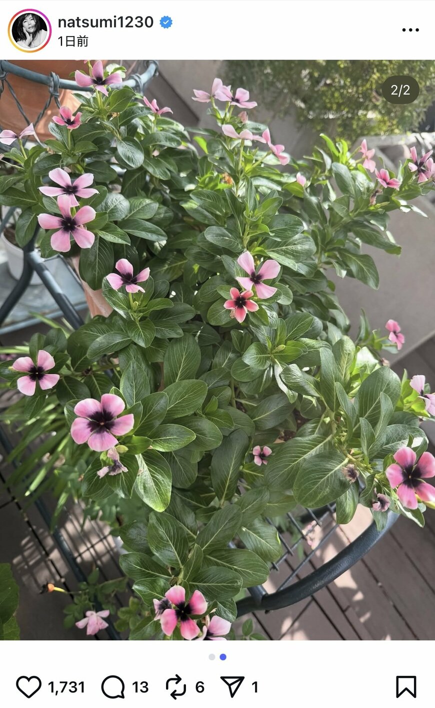 出所：小川菜摘のInstagram（＠natsumi1230）参照日：2025年10月31日