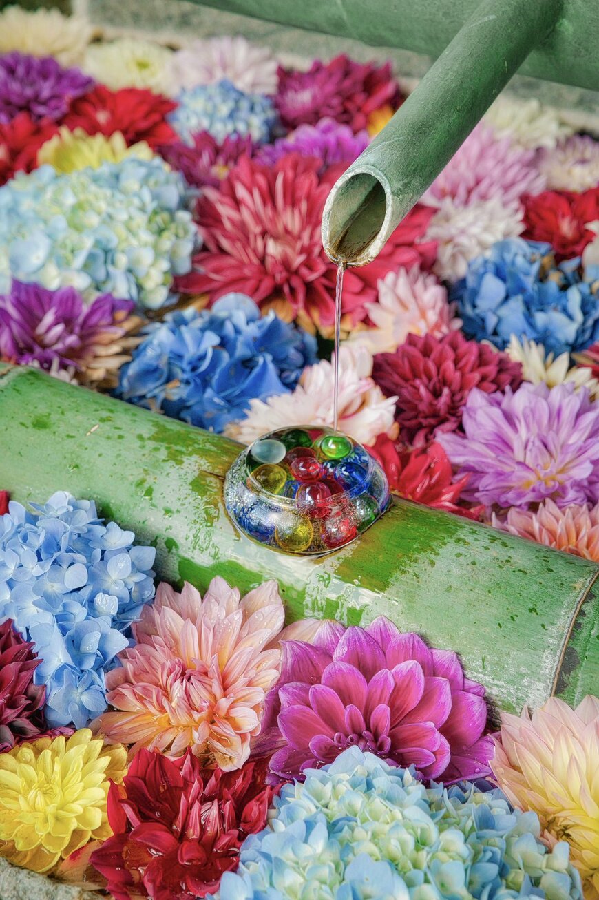 画像出所：@a_yumi0425