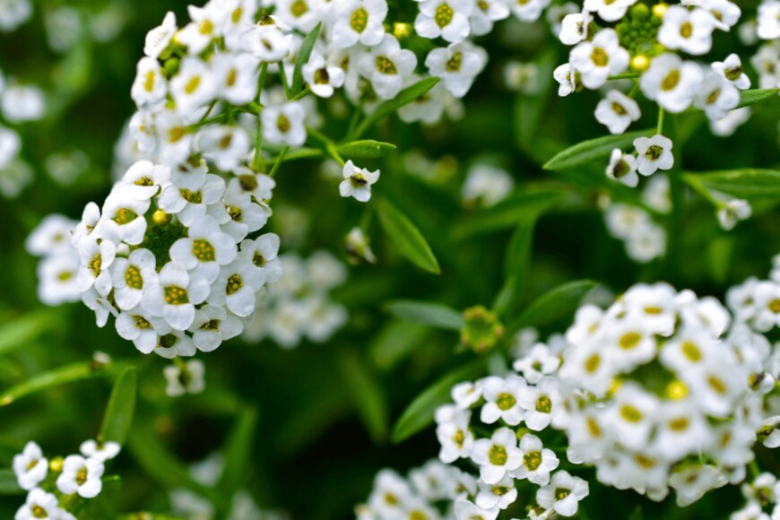 Valeriy Lushchikov/istockphoto.com