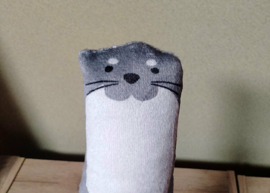 筆者撮影（セリア、ペットのおもちゃ おこじょ・カワウソ）