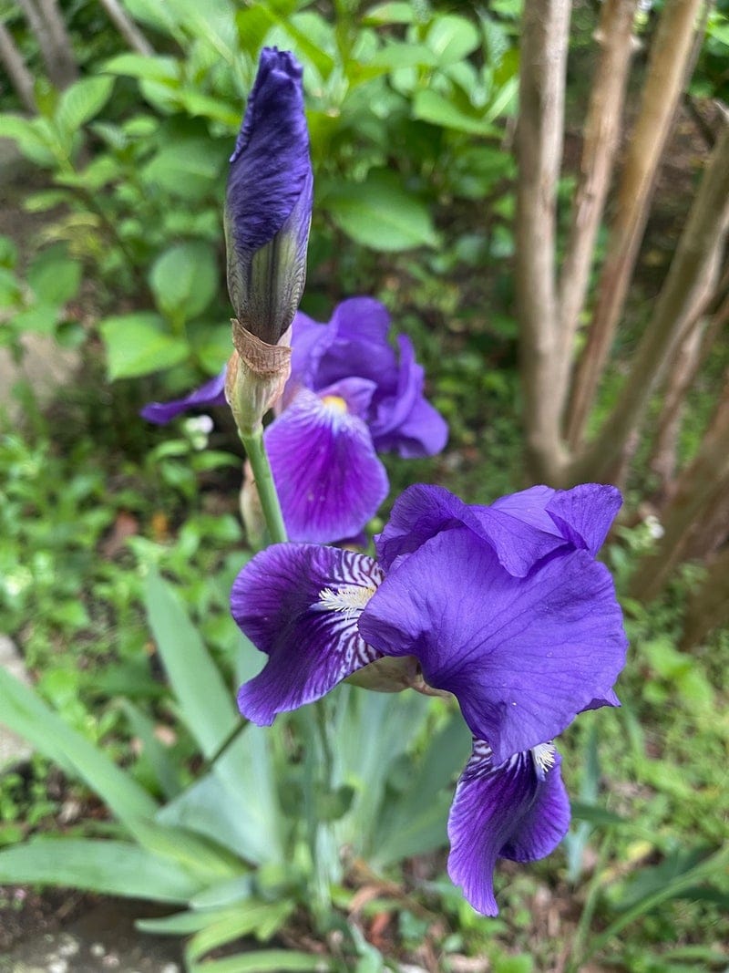 出所：假屋崎省吾のAmeba公式ブログ　参照日：2026-04-20