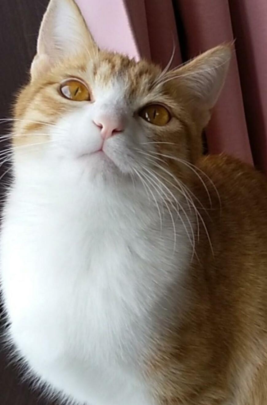 出所：@mero627puri914