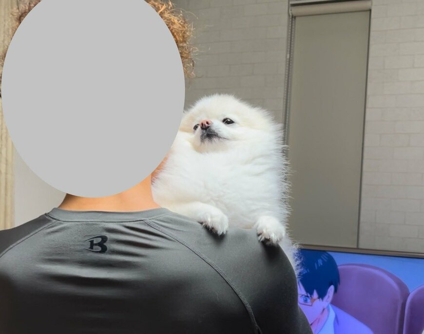 抱っこされている犬