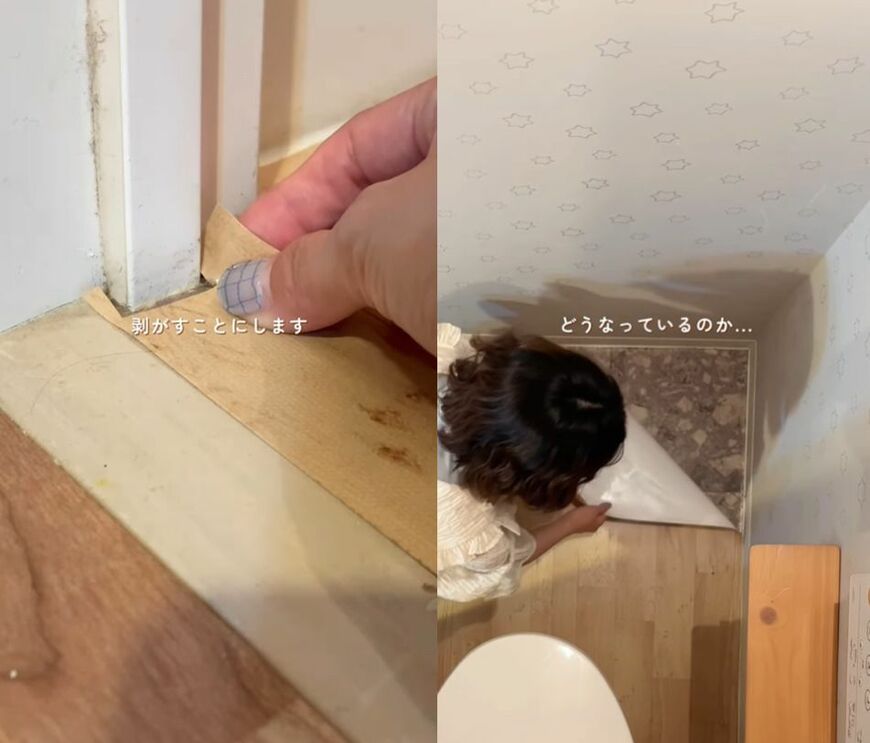 投稿動画のワンシーン