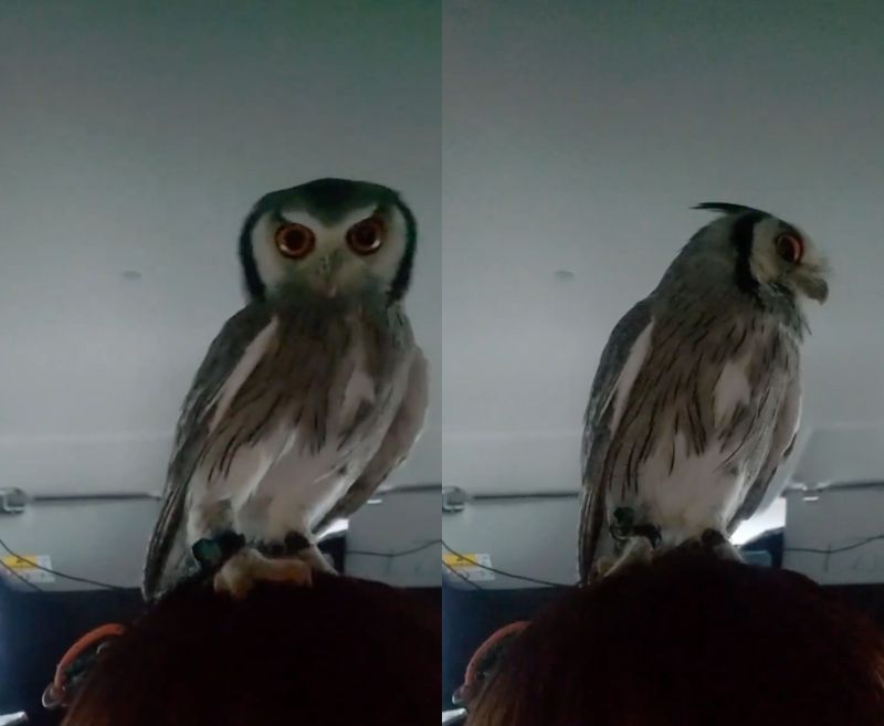 投稿動画のワンシーン