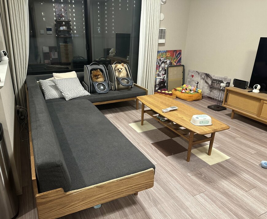 リュックから出てこようとしないワンちゃん