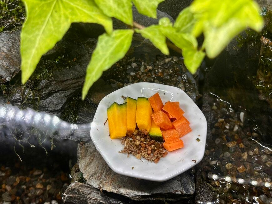 食べている野菜