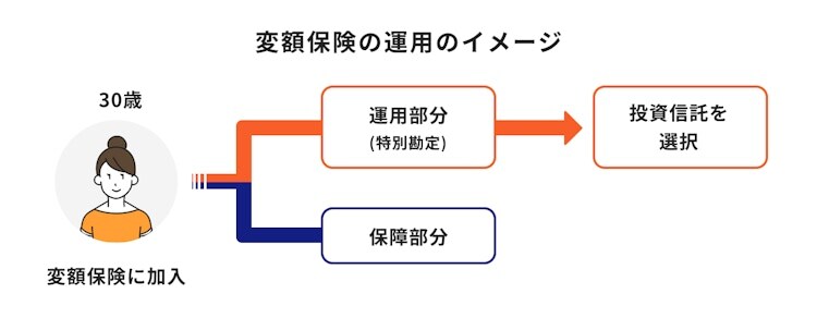変額保険の運用のイメージ