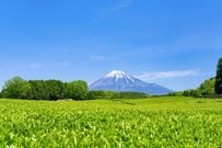「富士山の絶景」とほうじ茶アイスを満喫　GWのドライブで立ち寄りたい静岡県の道の駅「朝霧高原」