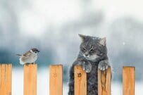 「年金が減ってる」はウソ？12月15日に「ひとりで月額30万円の年金」がもらえる人も