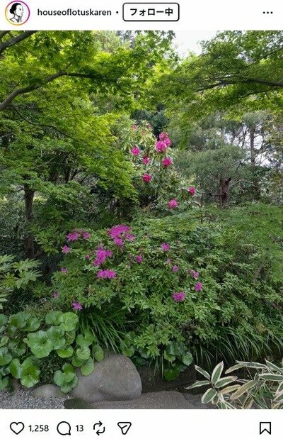 桐島かれんのInstagram投稿