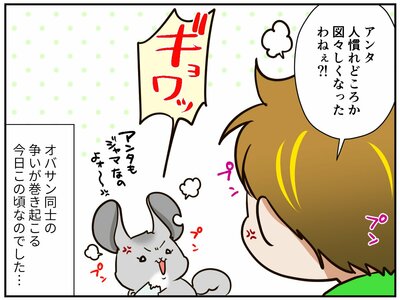 チンチライフ185話