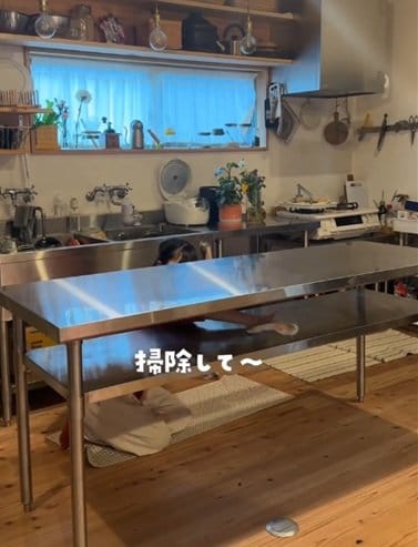 投稿動画のワンシーン