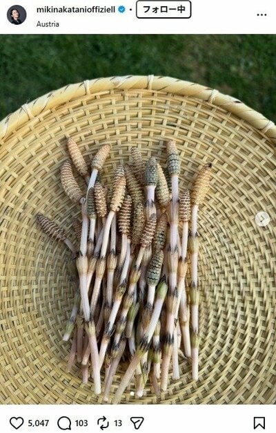 中谷美紀のInstagram投稿