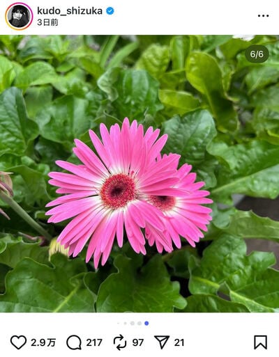 工藤静香のInstagram投稿