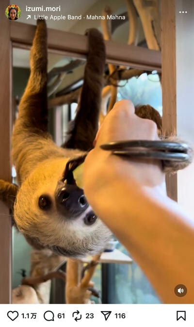 森泉のInstagram投稿