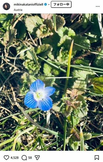 中谷美紀のInstagram投稿