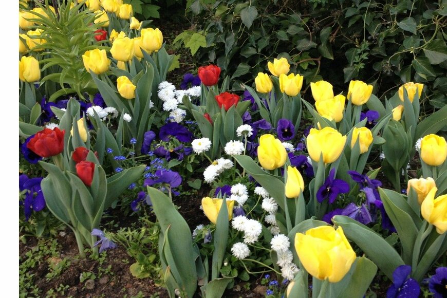 onearth999/istockphoto.com