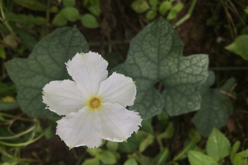 Doikanoy/shutterstock.com