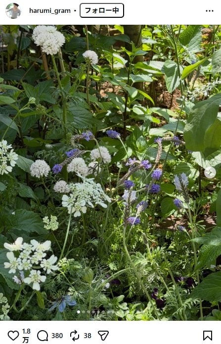 出所：栗原はるみのInstagram（＠harumi_gram） 参照日：2026年4月21日