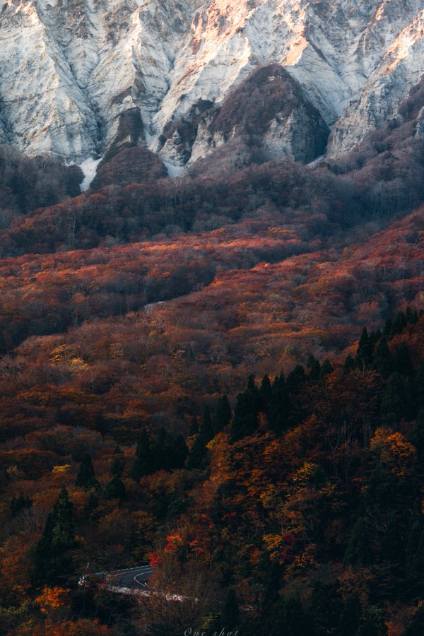 出所：@Os__0114さん