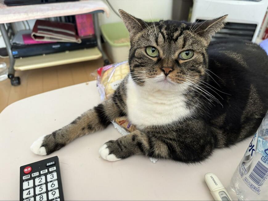 出所：@marukotokinako