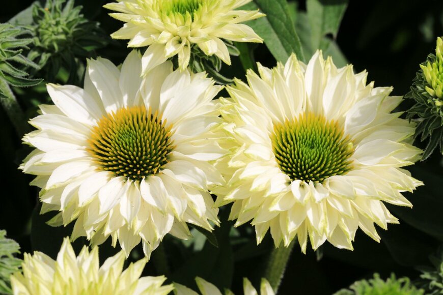 Traveller70/shutterstock.com