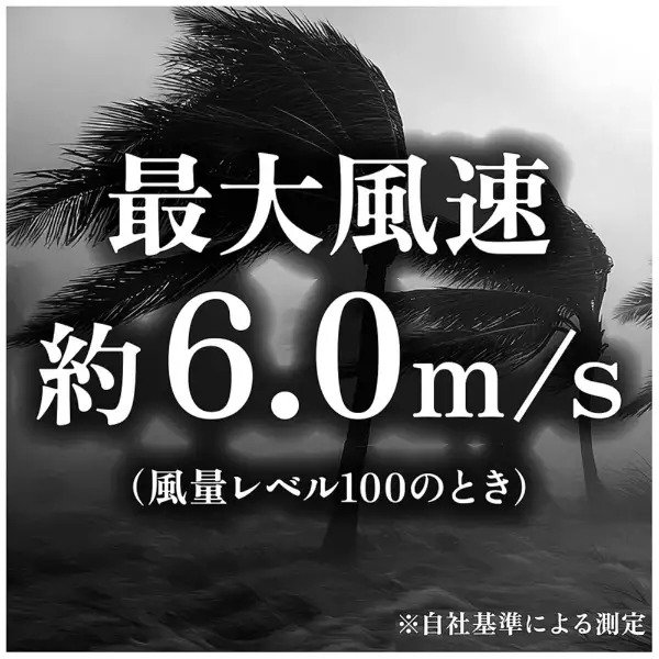 画像出所：ビックカメラ公式オンラインストア