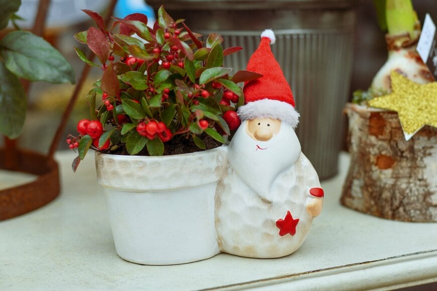 kipgodi/shutterstock.com