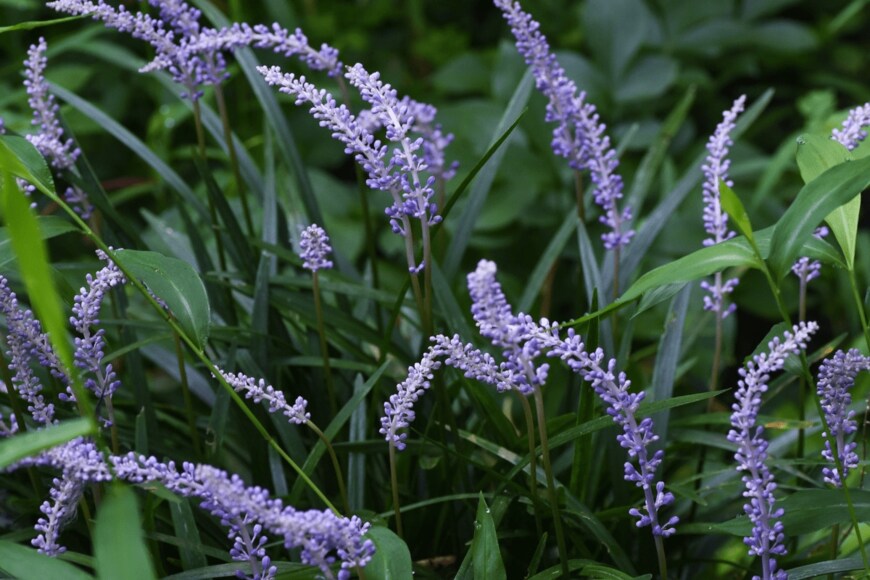 undefined undefined/istockphoto.com