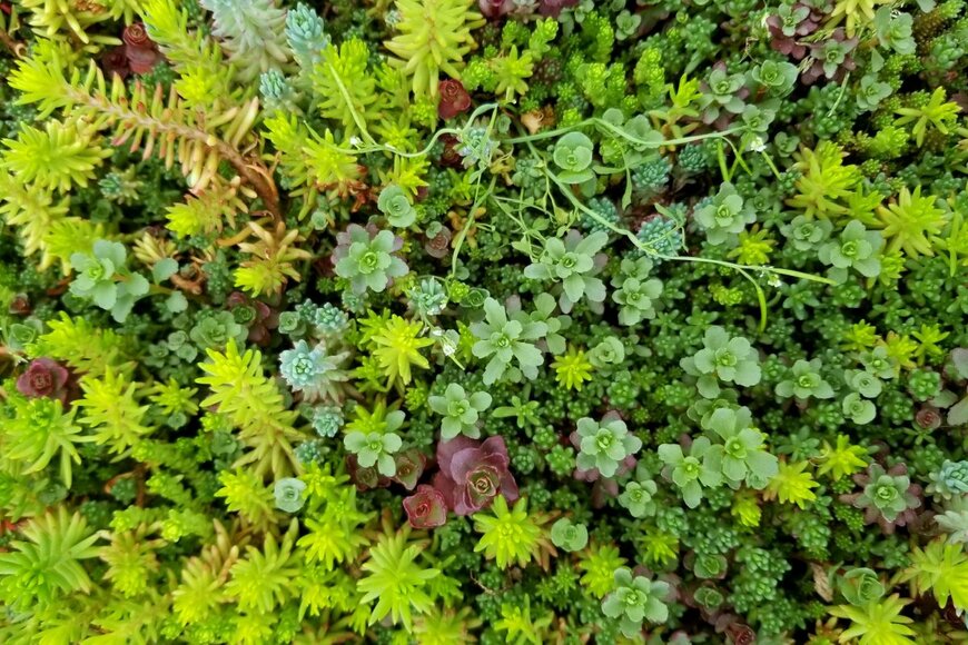 Khairil Azhar Junos/shutterstock.com